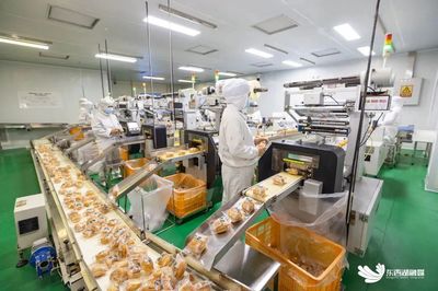 區(qū)內(nèi)企業(yè)投資管理 策略、挑戰(zhàn)與優(yōu)化路徑