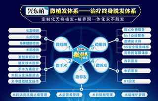 探索深圳植發補發技術 高清圖片揭示效果，北京科發源的投資管理視角